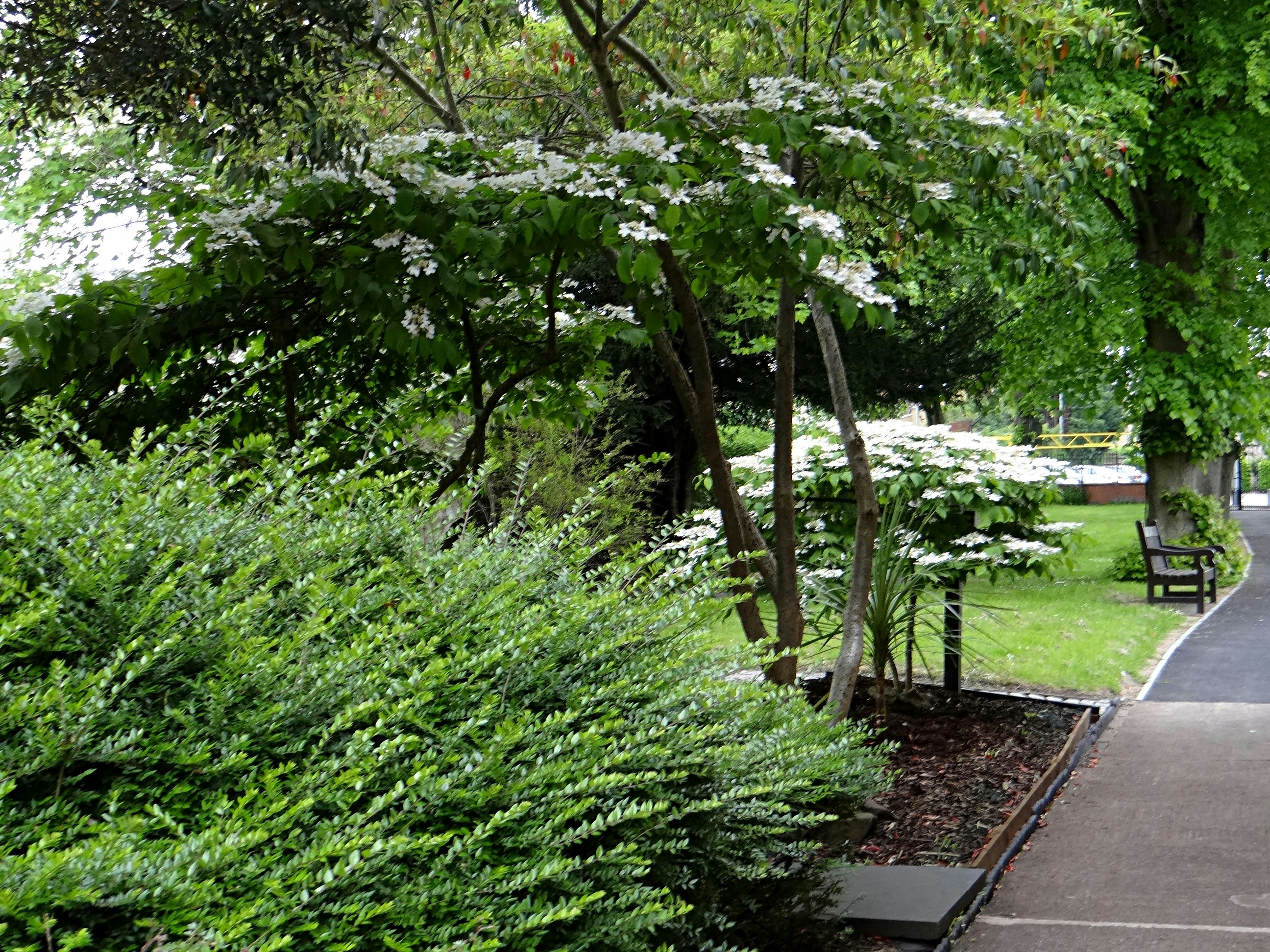 Photo by hinckleygreatmeeting1722