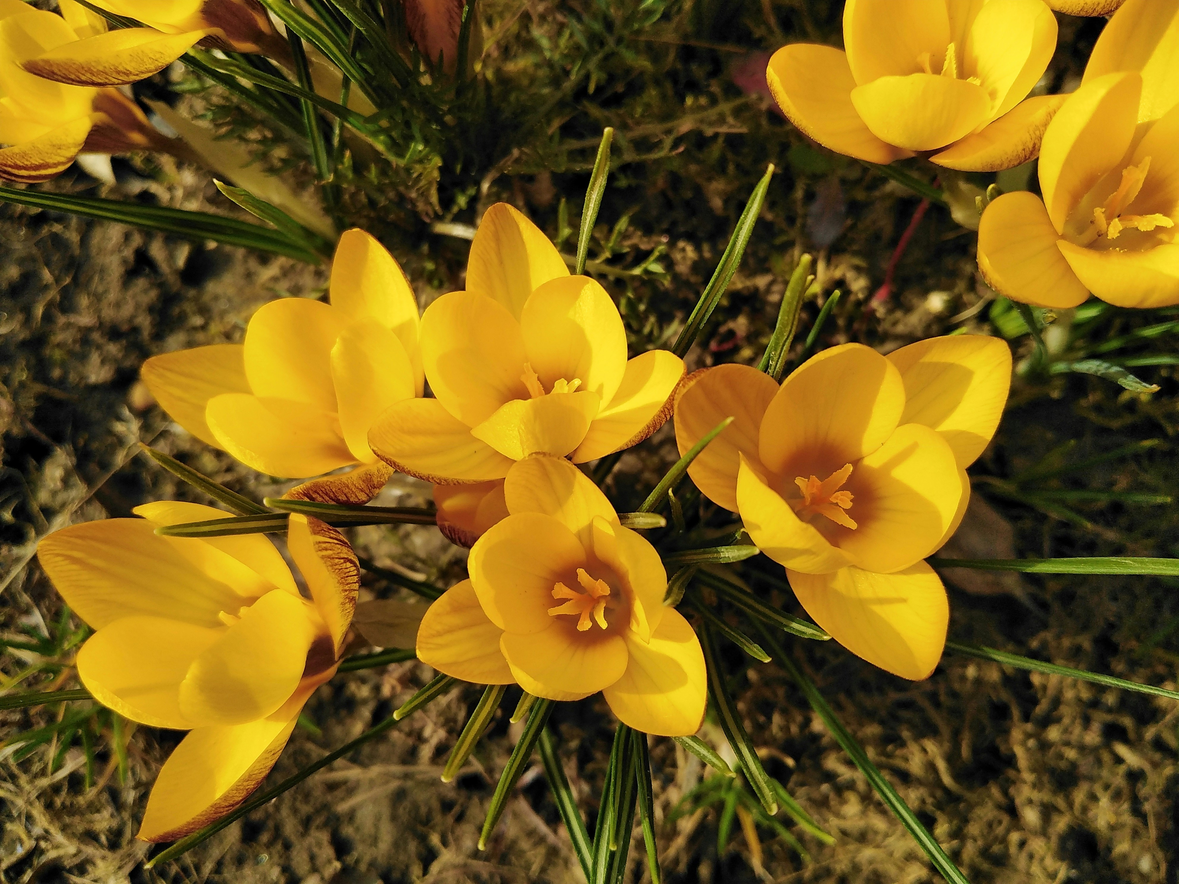 Photo by nitoiviorel