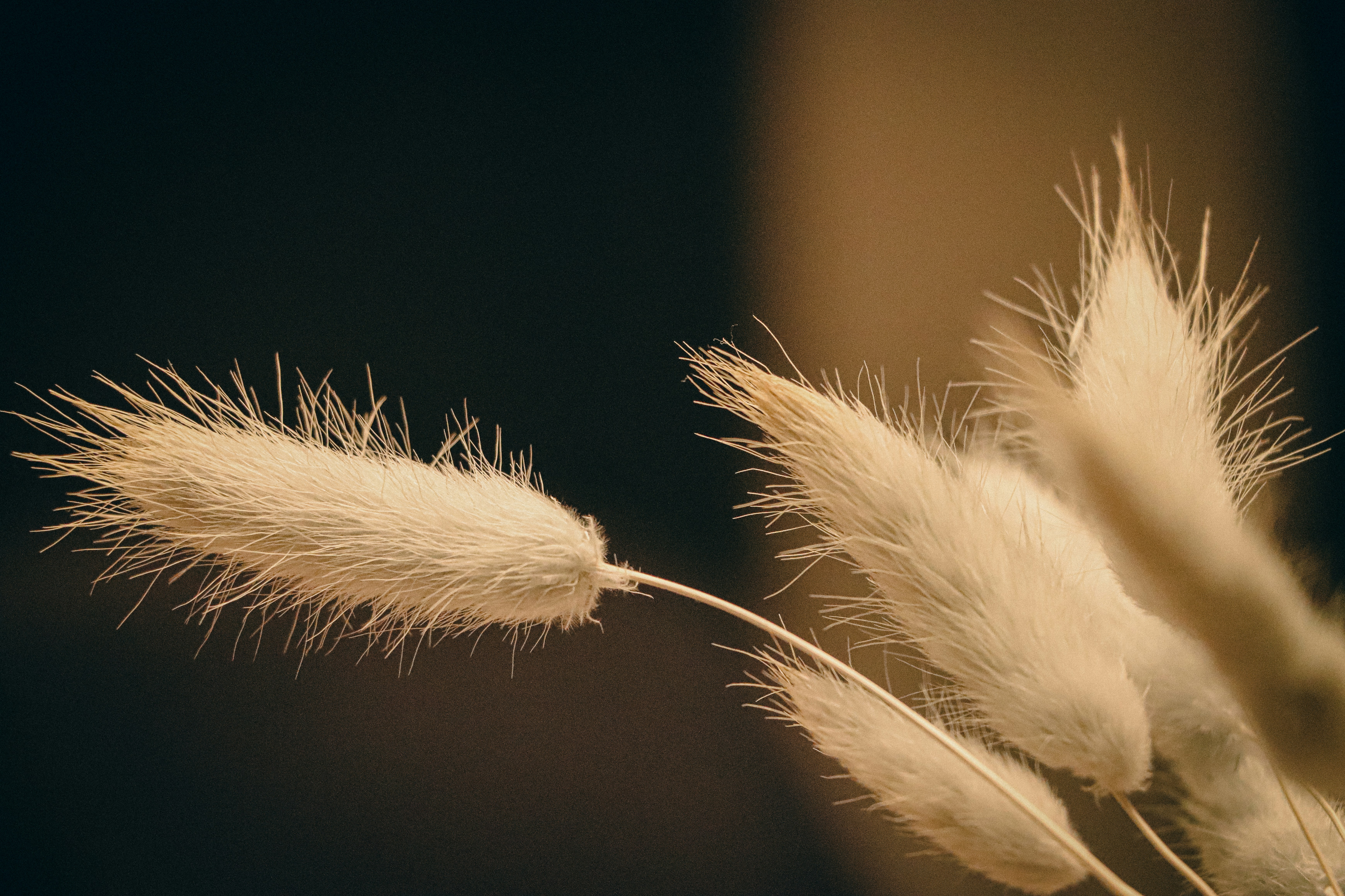 Photo by jerandwernhammar