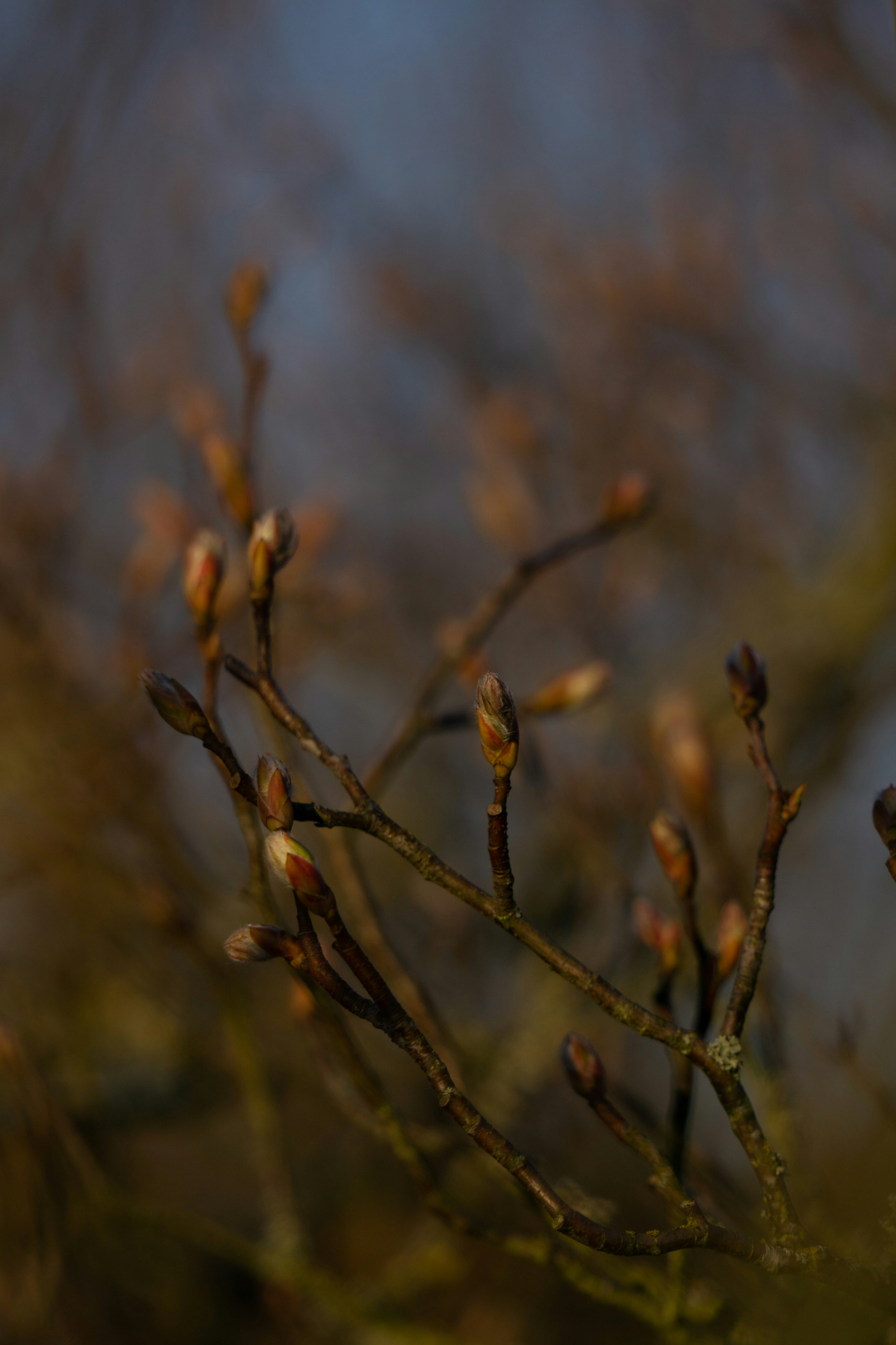 Photo by eszternaujoks