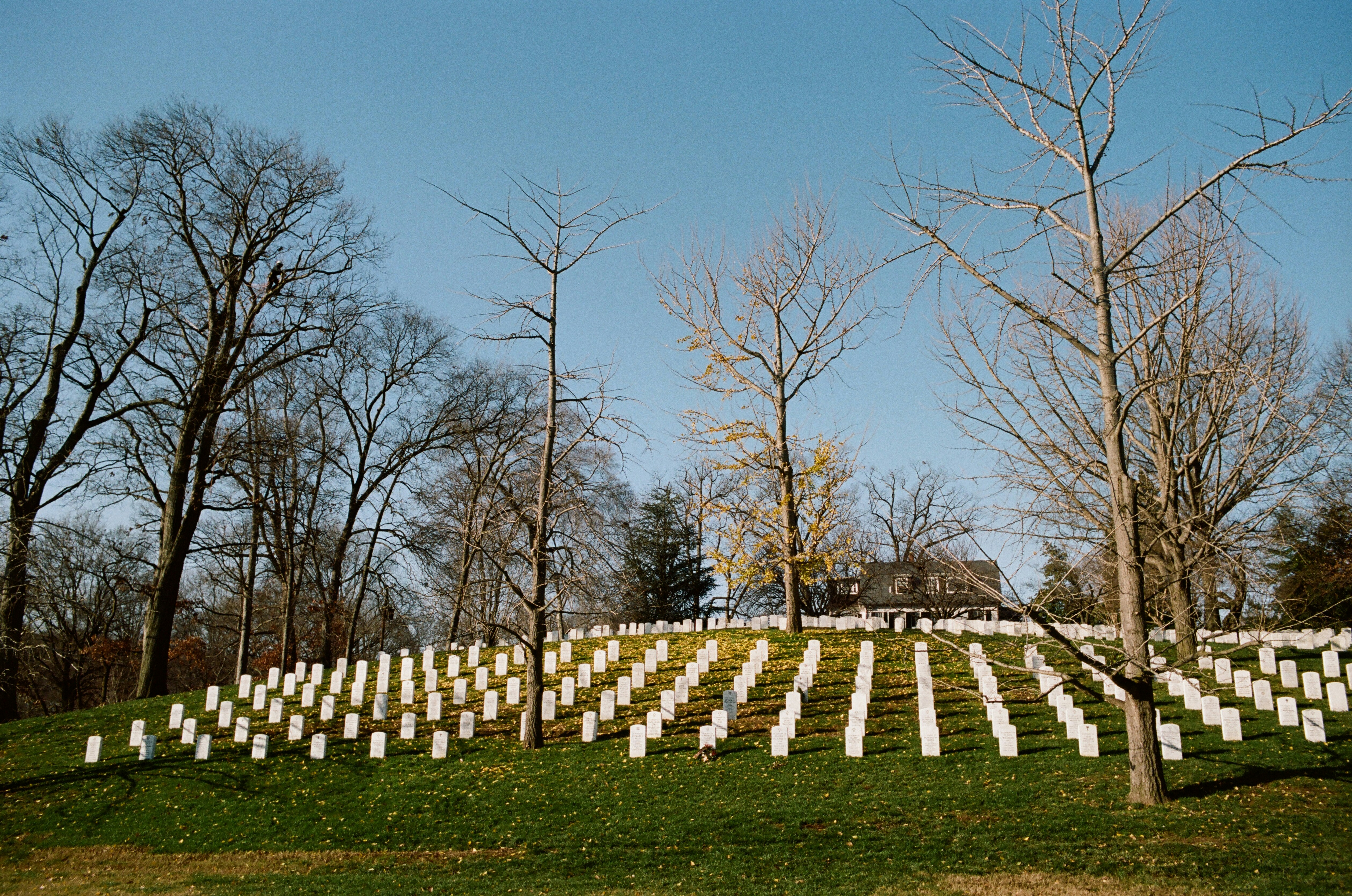 Life and Fate Read Along, Part 1 Chapter 33