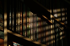 Sunlight streaming through a studio window illuminating a shelf filled with books and creative awards.