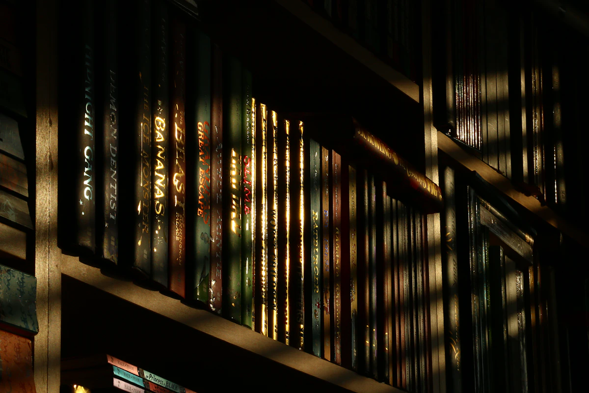Evening light falling in bands across rows of books in a library