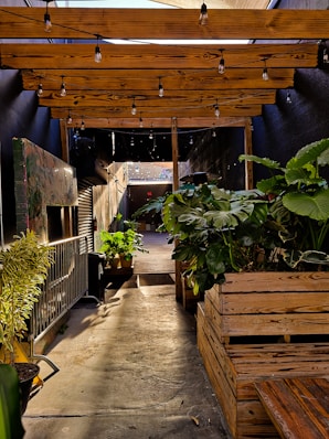 a room filled with lots of potted plants