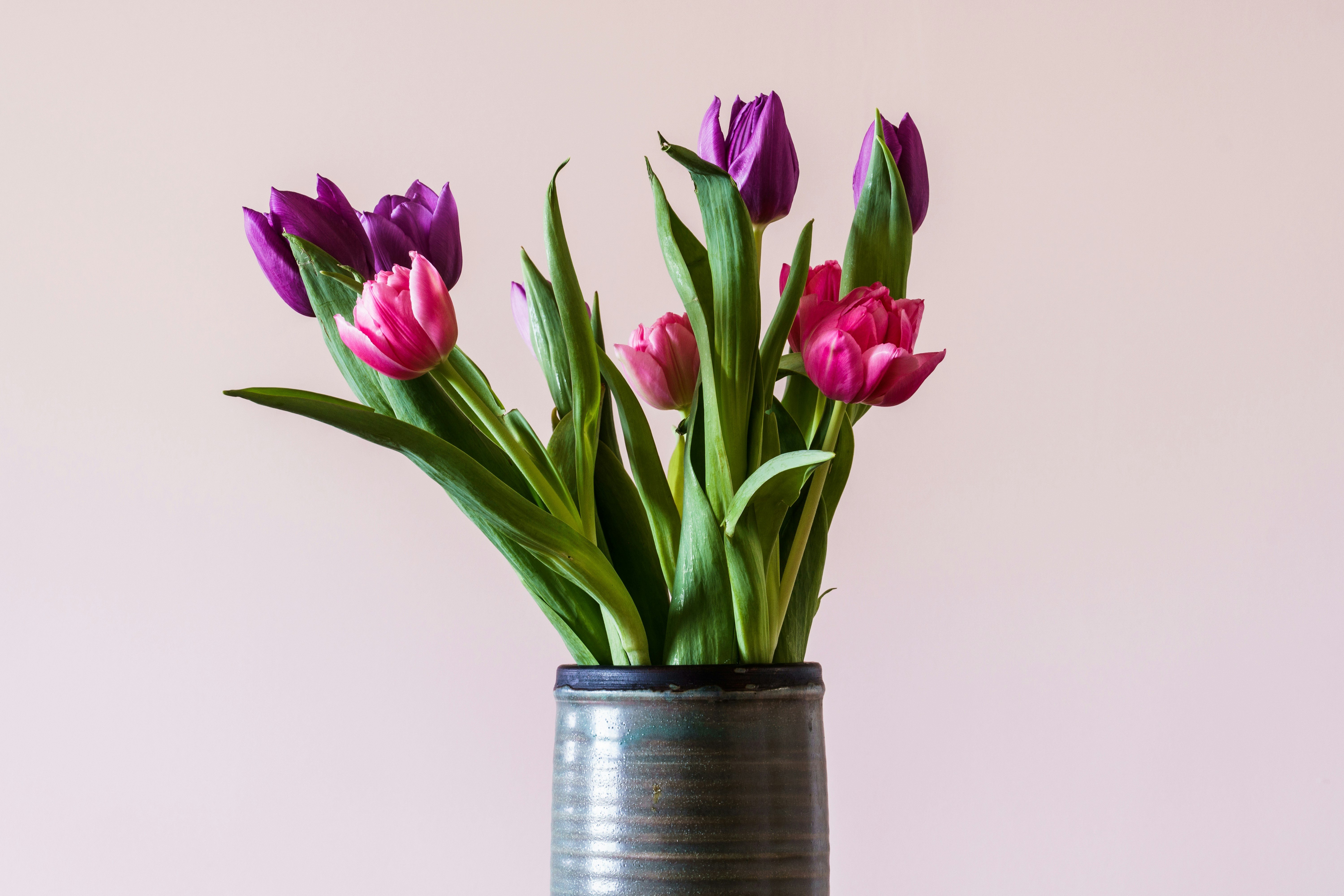 Photo by earl_plannerzone