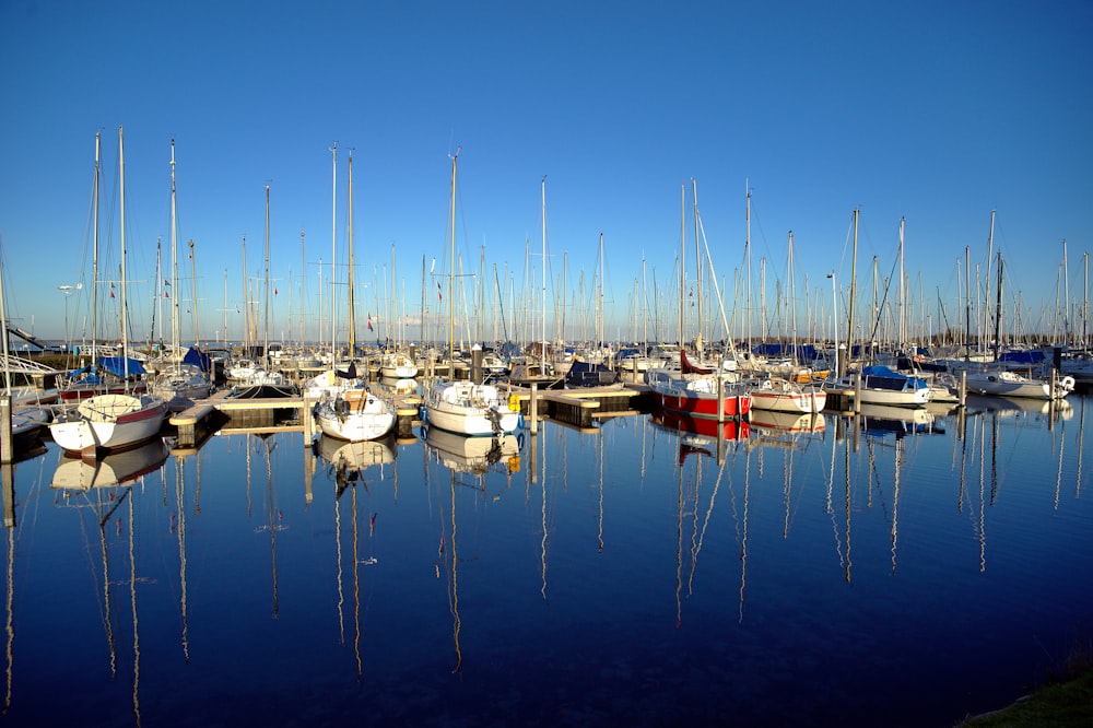 a bunch of boats that are sitting in the water