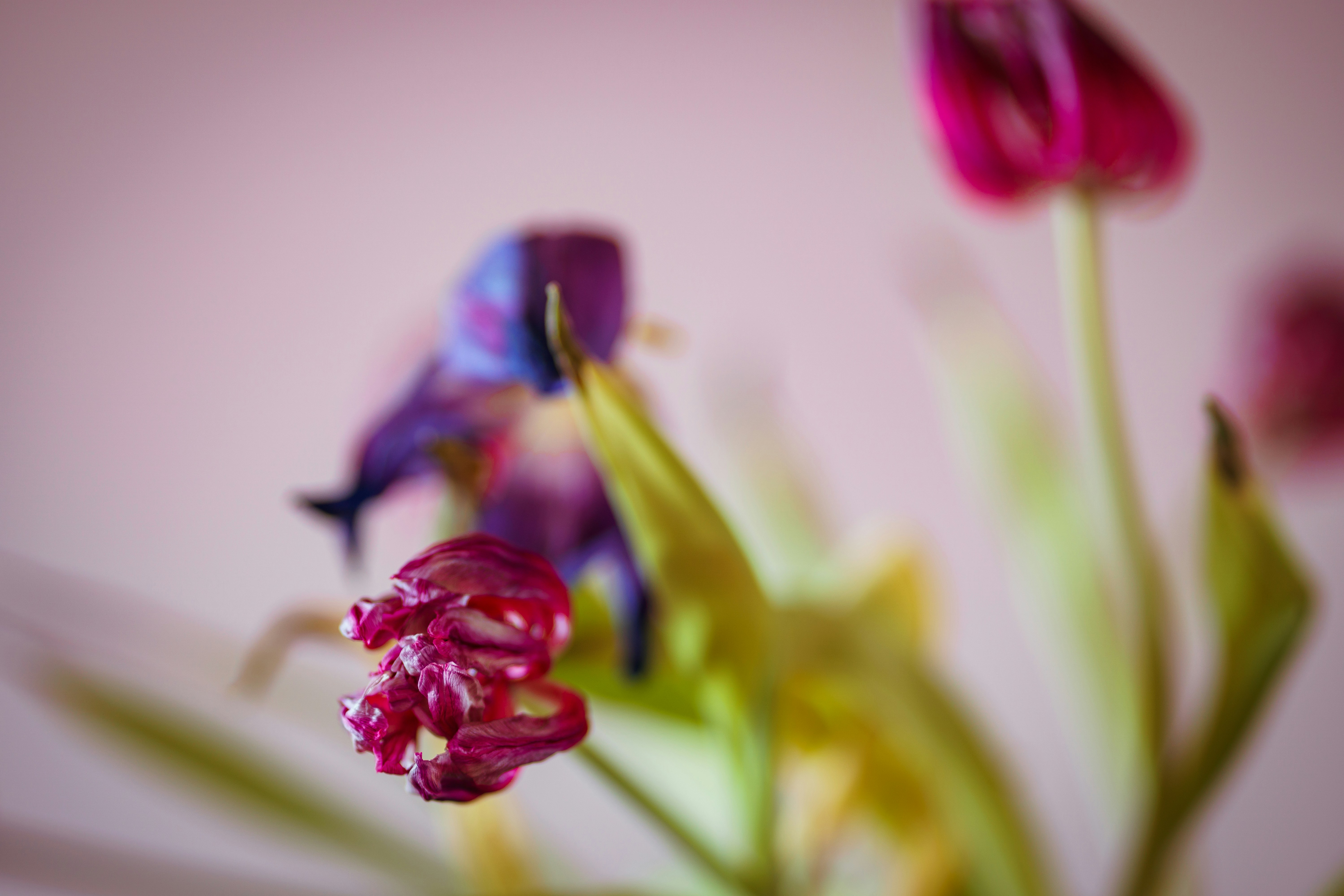 Photo by earl_plannerzone