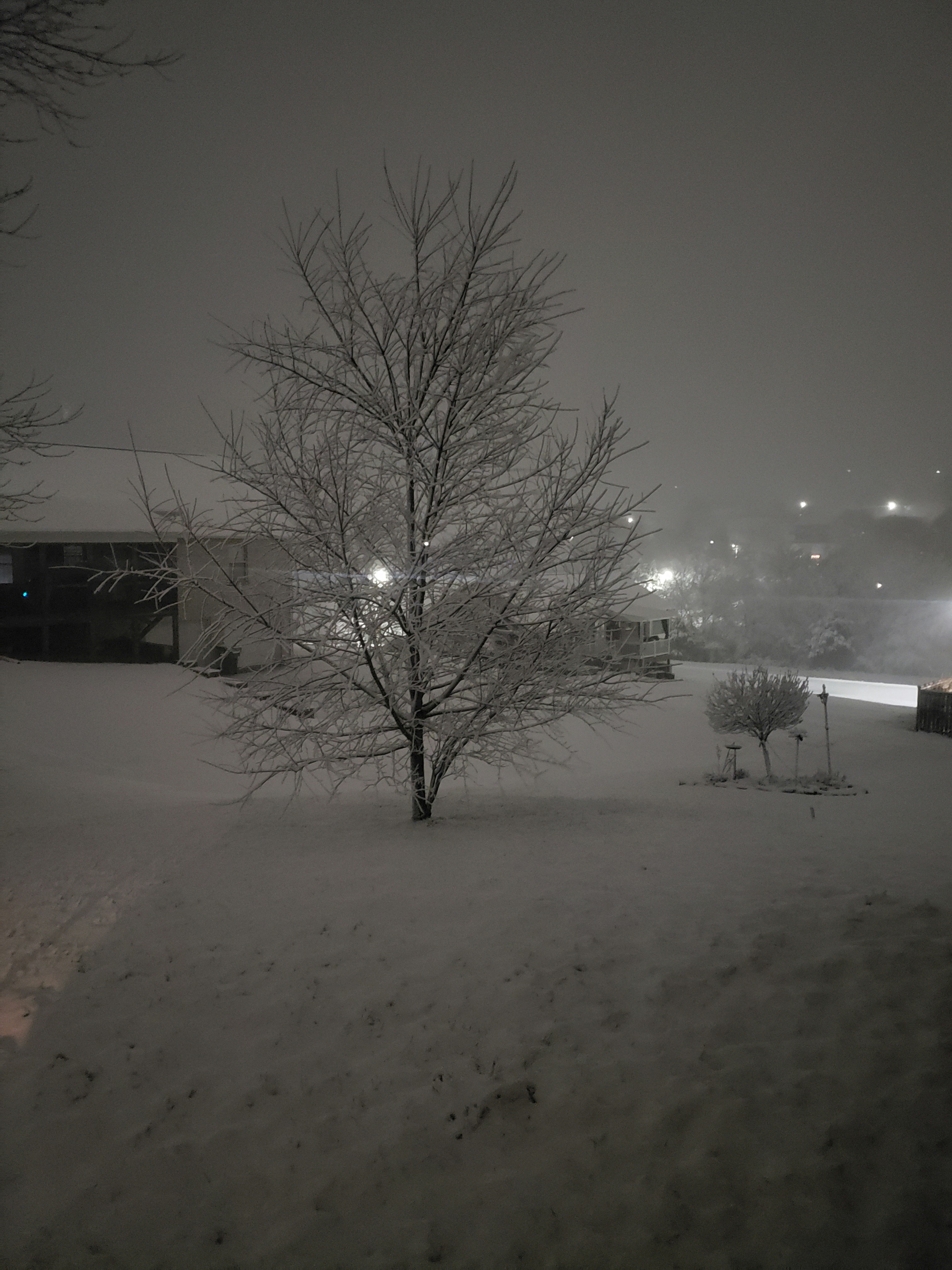 a snow covered field with a tree in the foreground