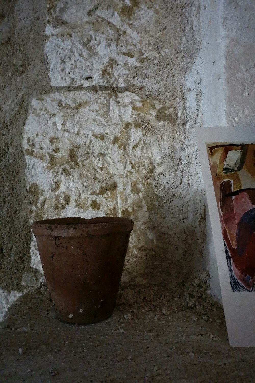 Una pianta in vaso seduta accanto a un quadro su un muro