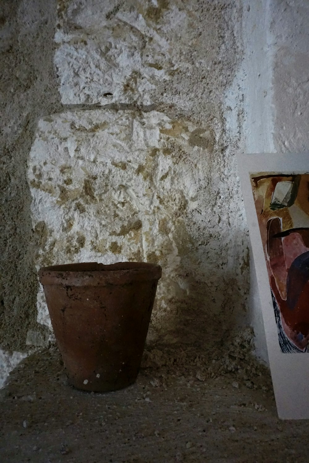 a potted plant sitting next to a picture on a wall