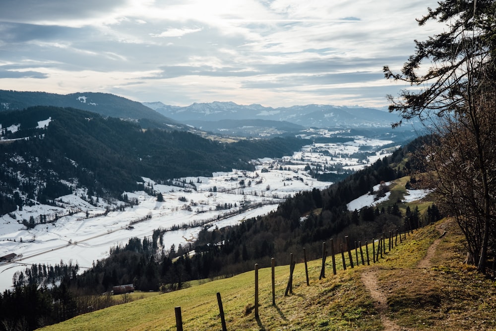 a scenic view of a valley with a mountain in the background