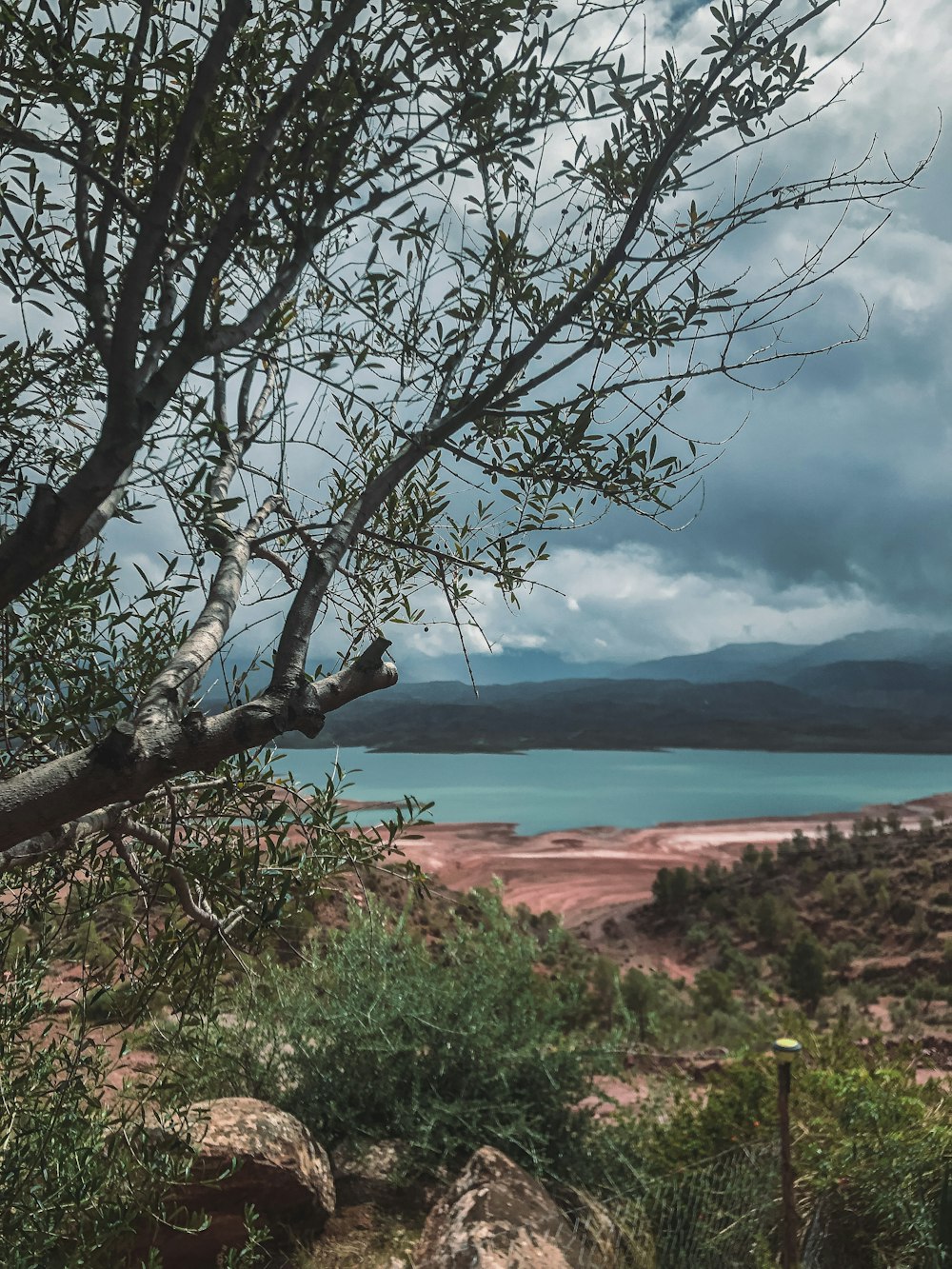 a view of a body of water from a hill