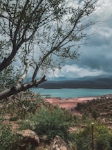 a view of a body of water from a hill
