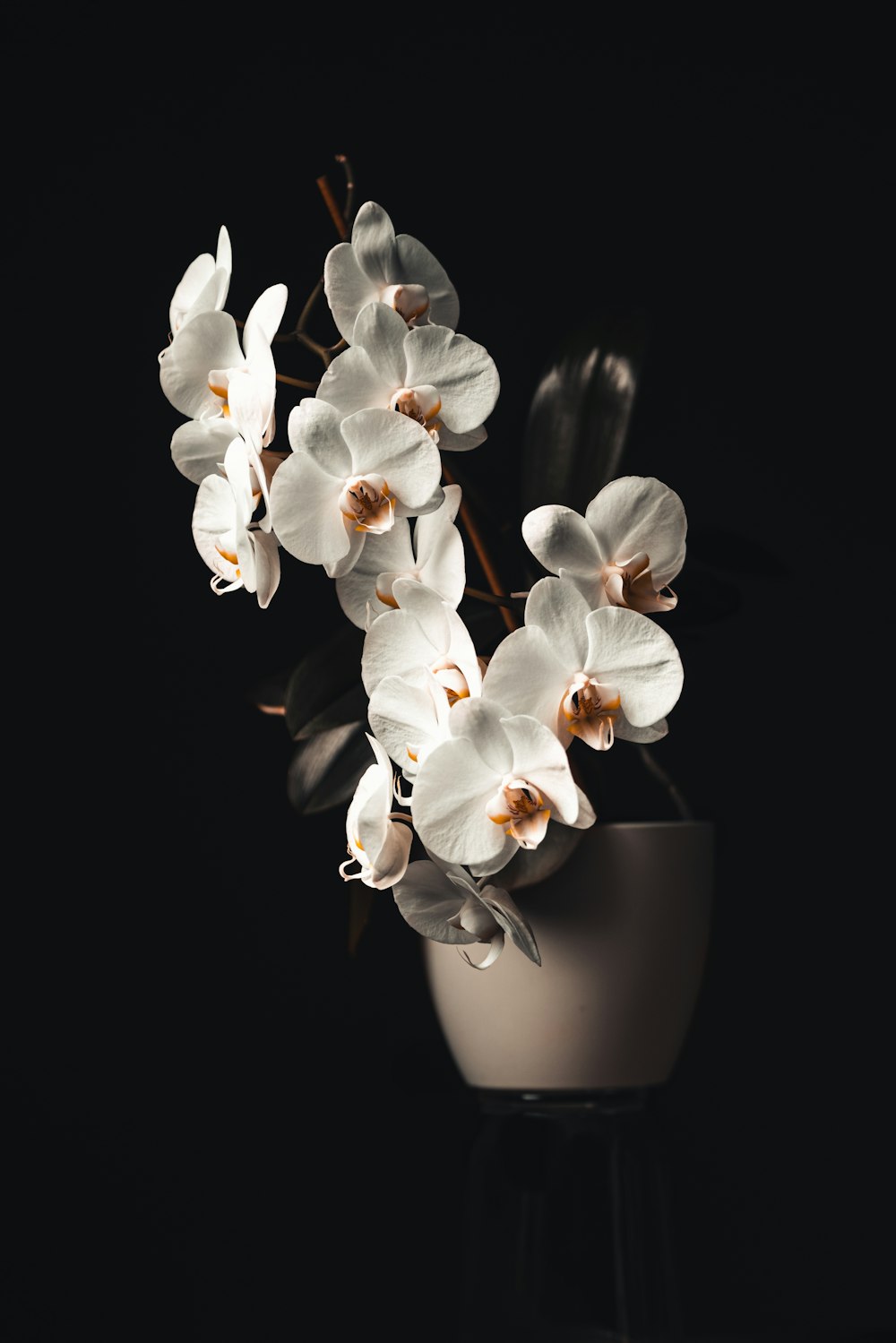 a white vase filled with white flowers on top of a table