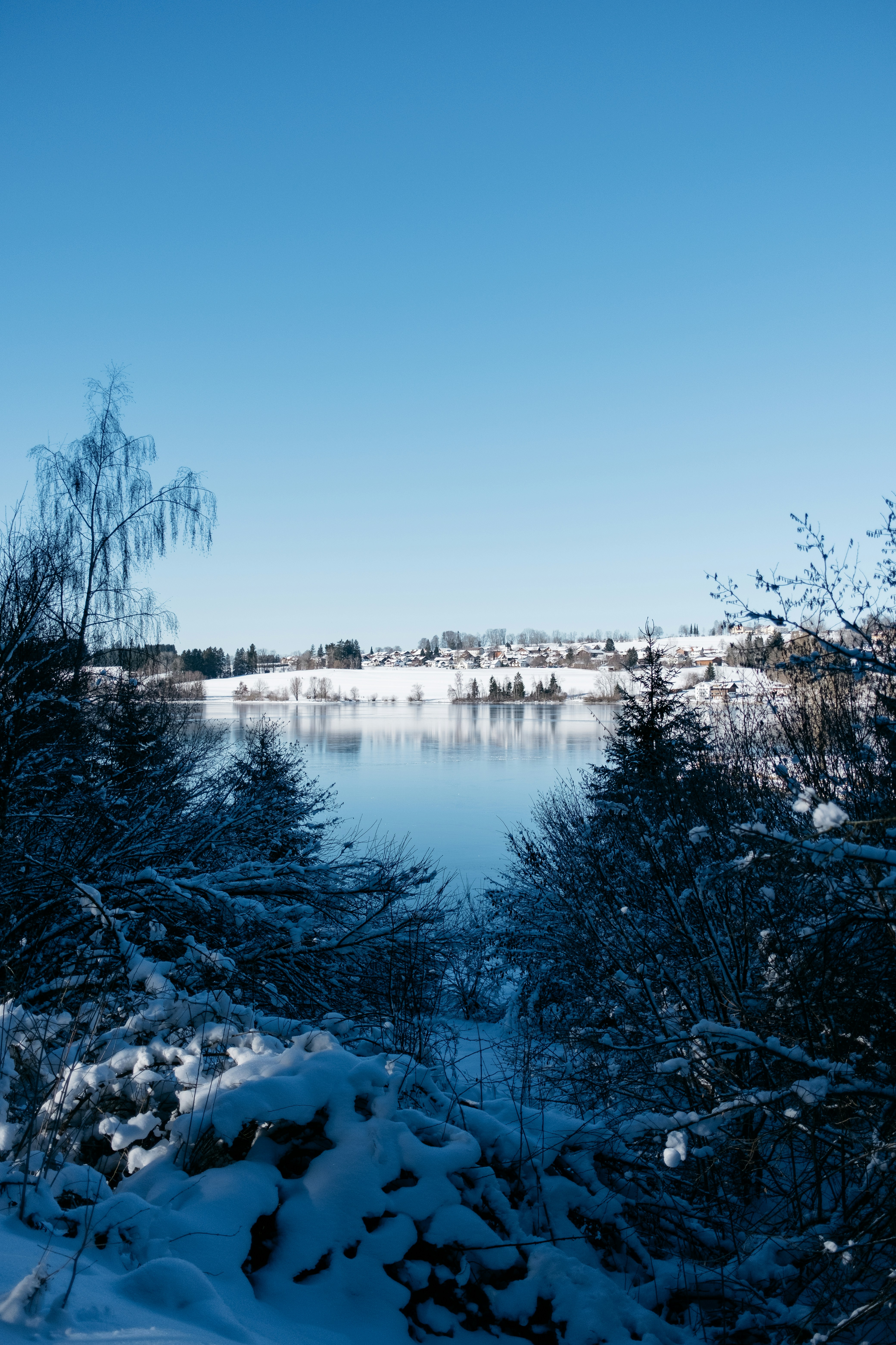 a lake surrounded by snow covered trees under a blue sky
