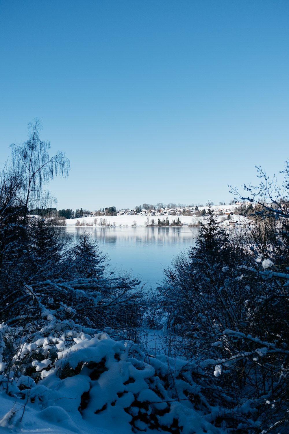 a lake surrounded by snow covered trees under a blue sky