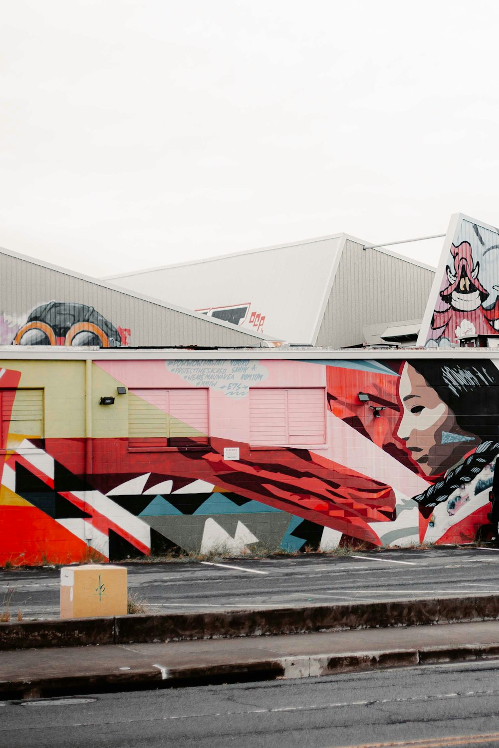 a large mural of a woman on the side of a building