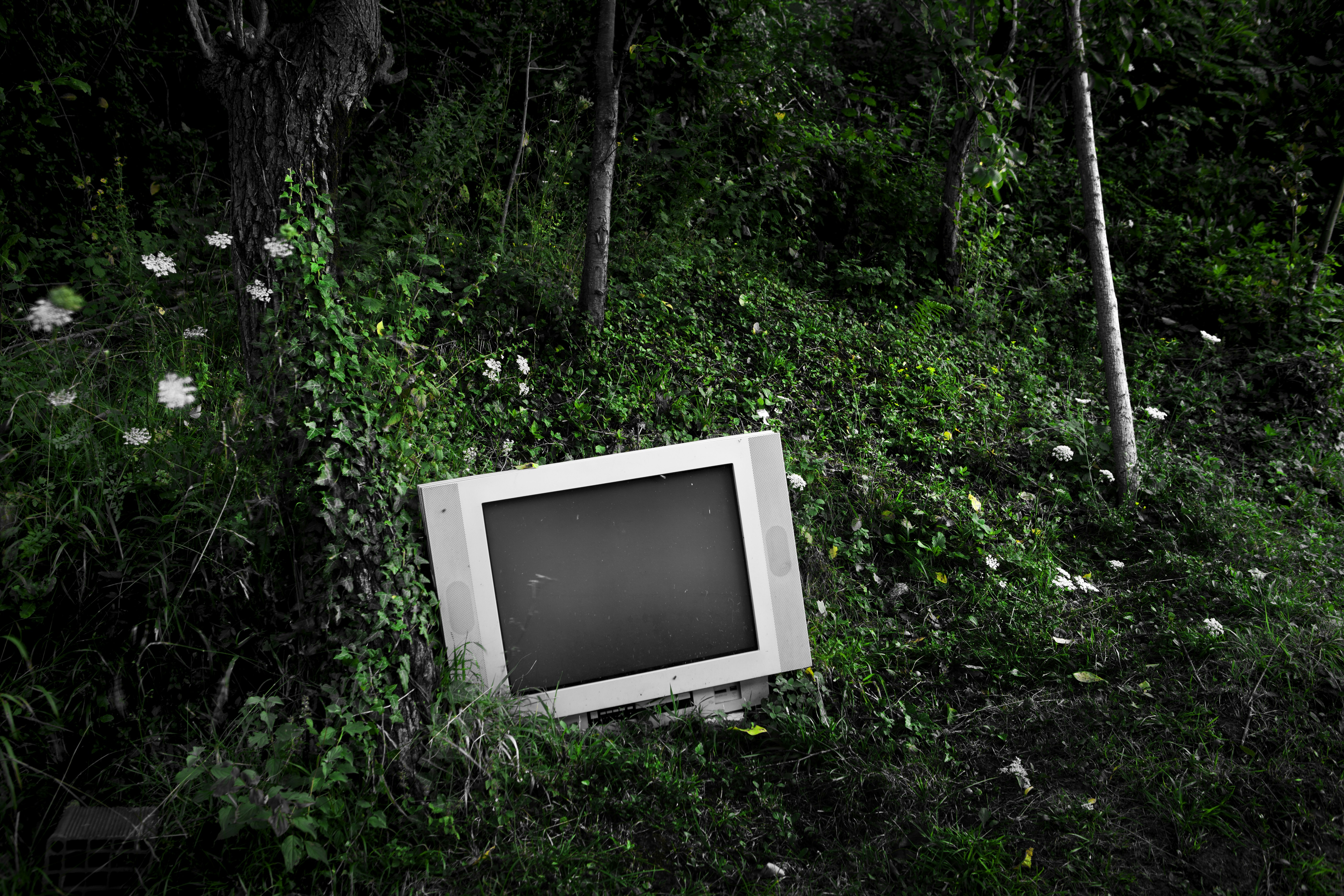 Kultowa gra telewizyjna 'Od jednego do dziesięciu'