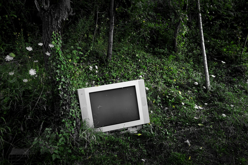 an old tv sitting in the middle of a forest