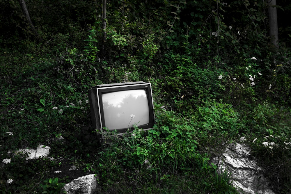 uma velha TV sentada no meio de um campo verde exuberante