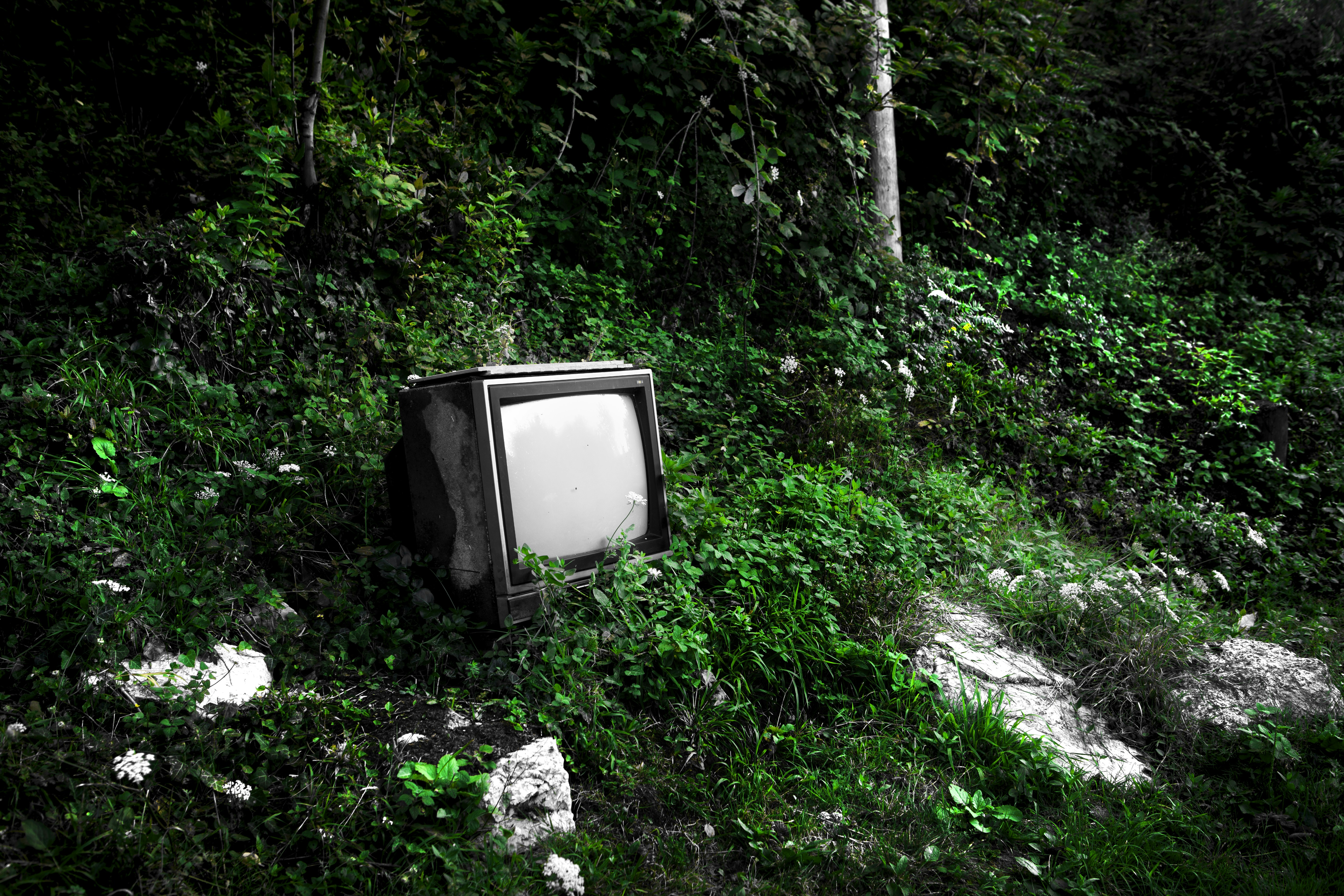 throwaway television