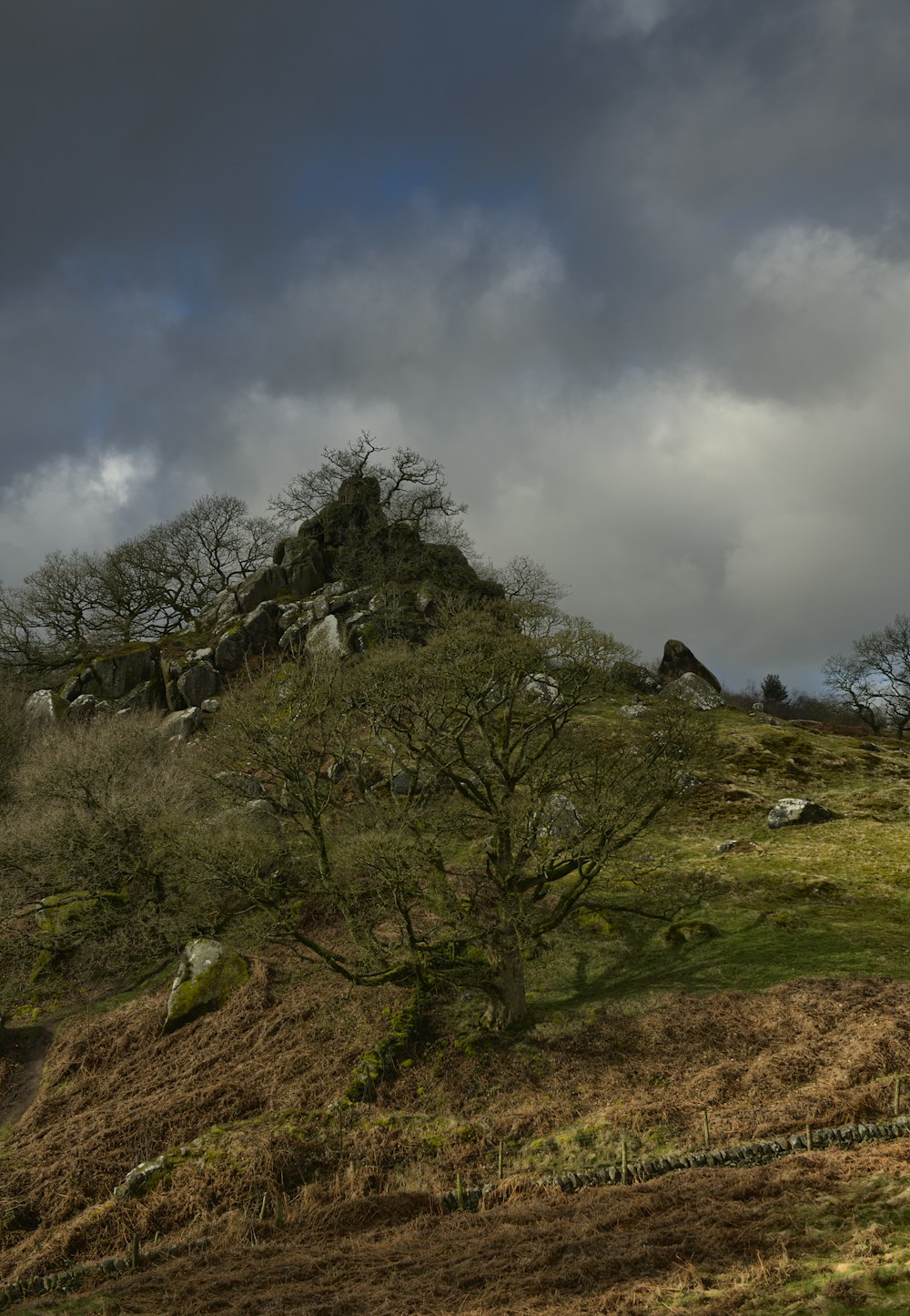 a hill covered in grass and trees under a cloudy sky