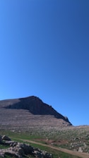 A detailed Colorado landscape showing native plants and terrain under a clear sky.