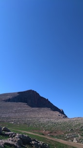 A detailed Colorado landscape showing native plants and terrain under a clear sky.