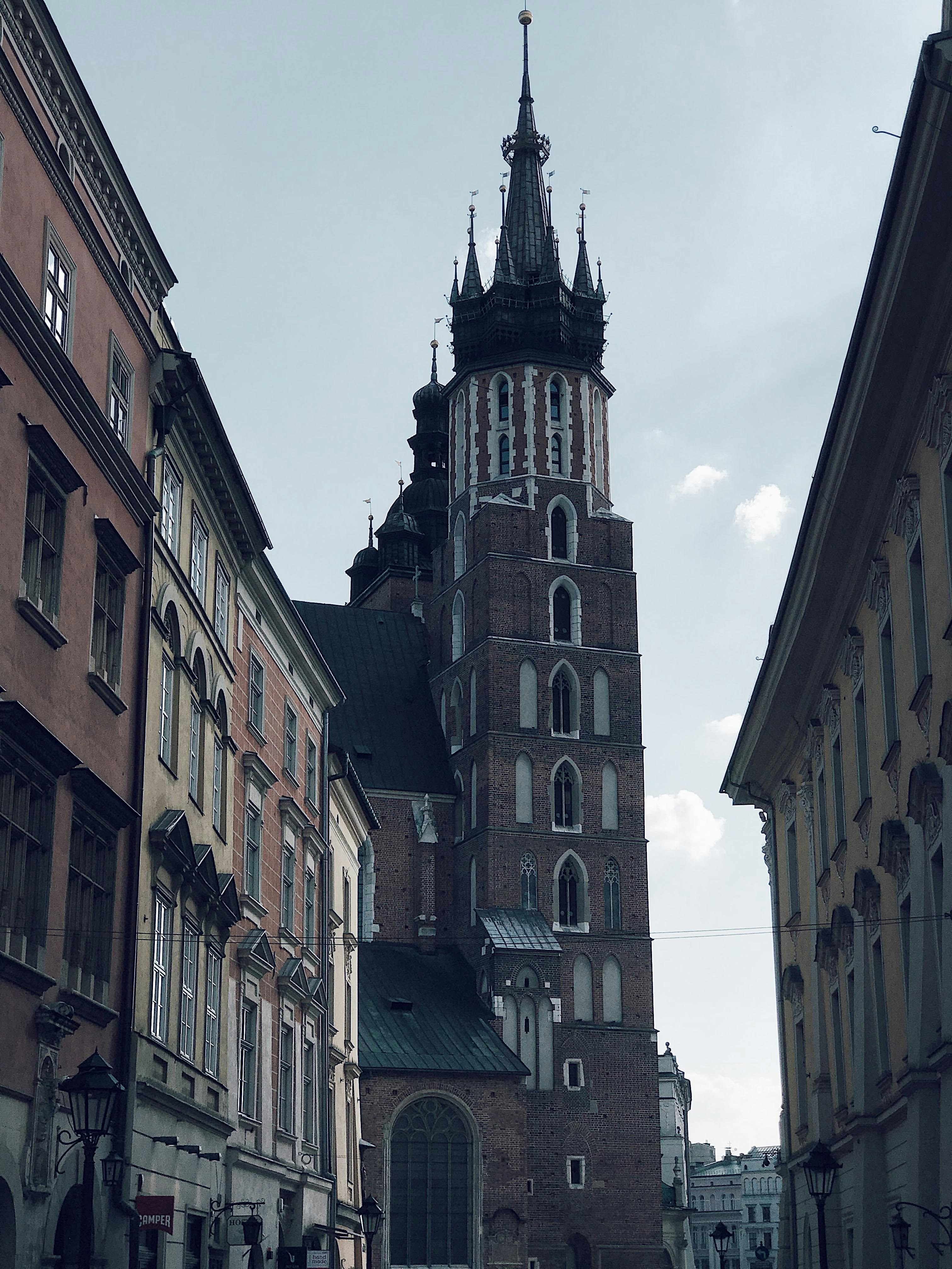 Photo by nicolazhukov