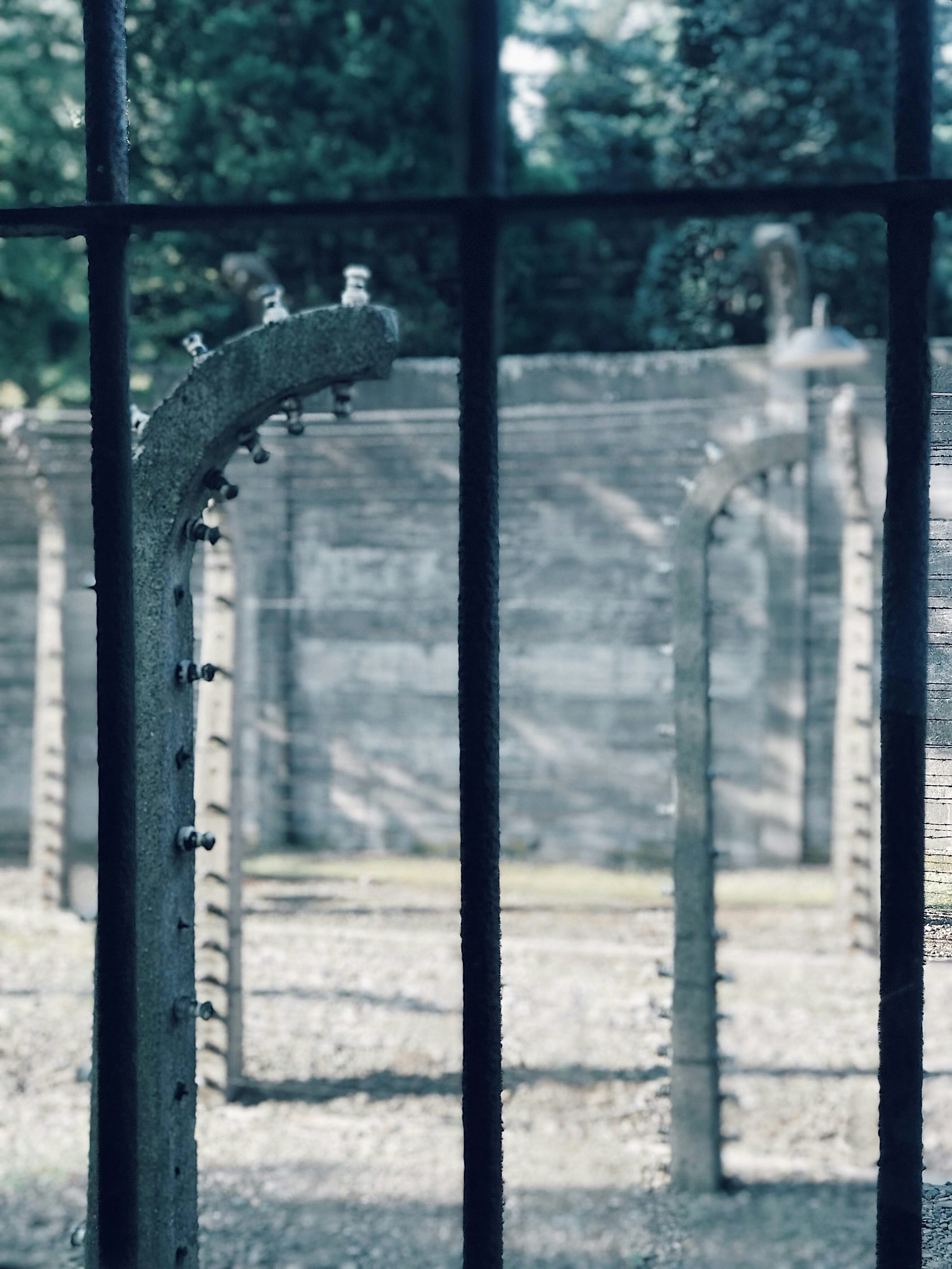 Photo by nicolazhukov