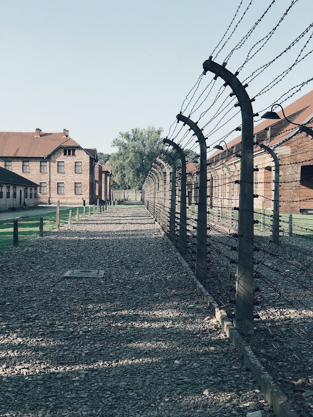 a long line of barbed wire on the side of a road