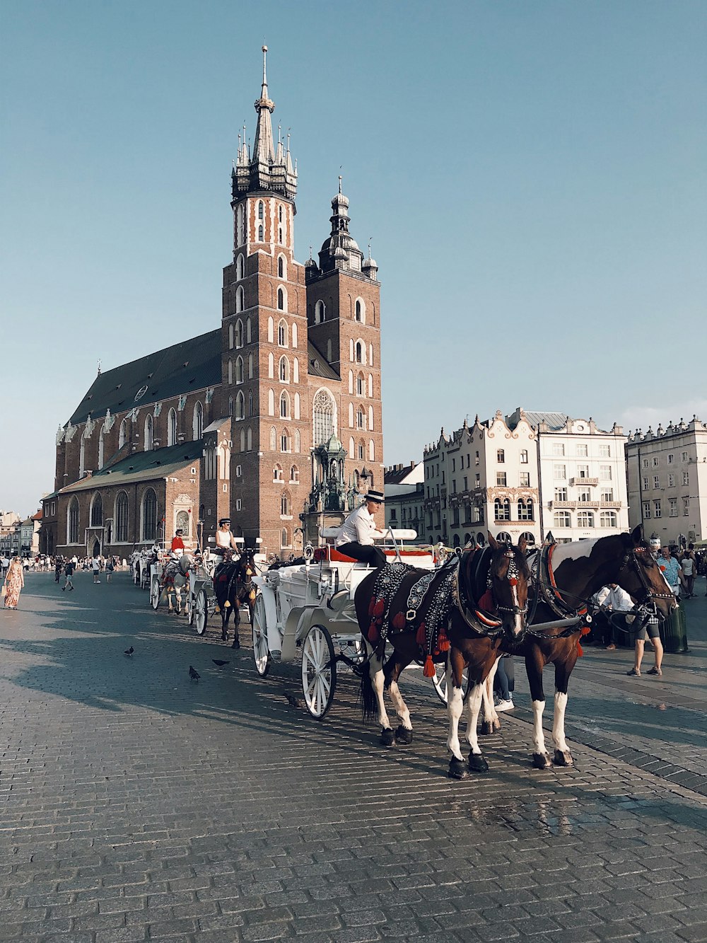 a group of horses pulling a carriage down a street