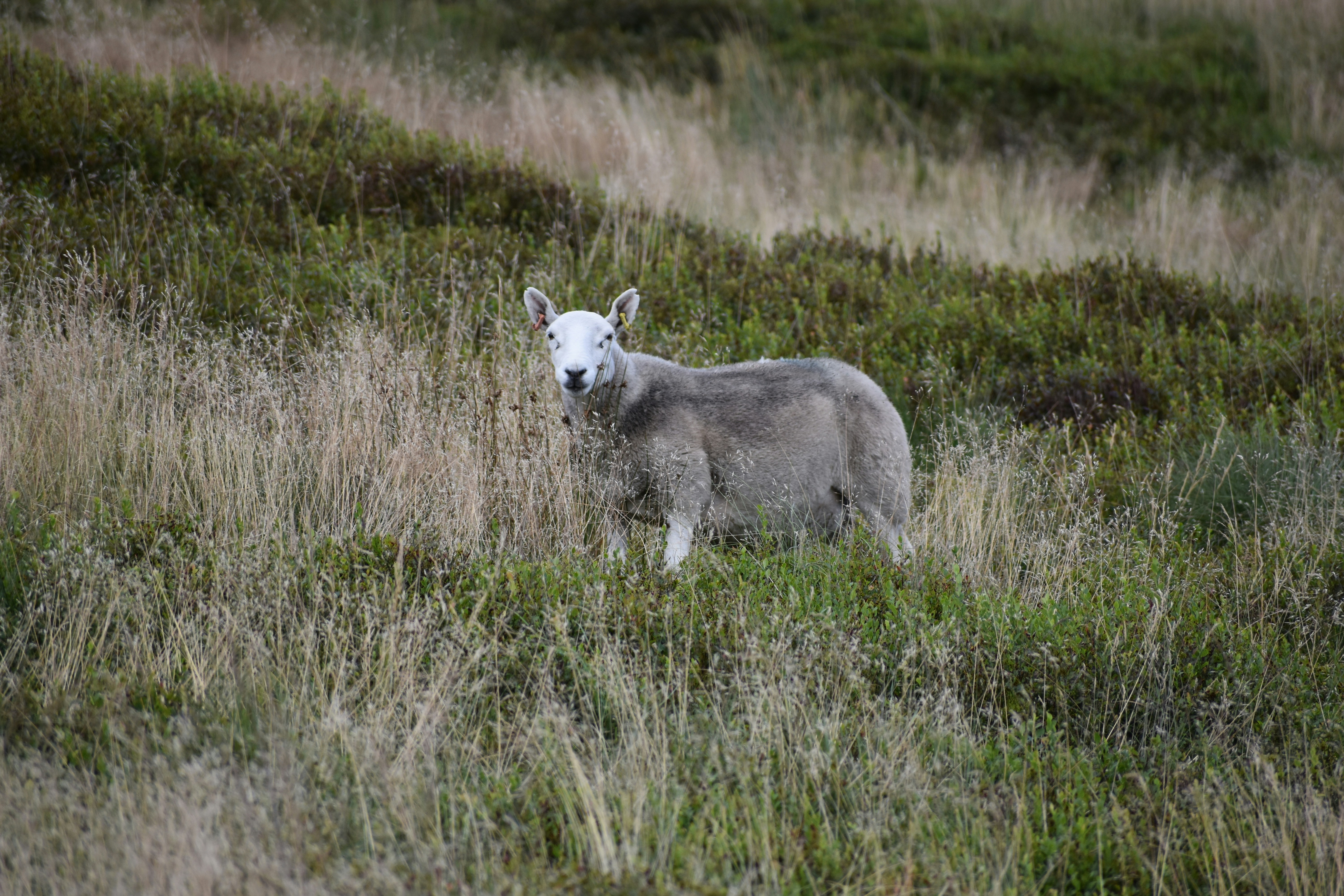 Photo by andrew_hall