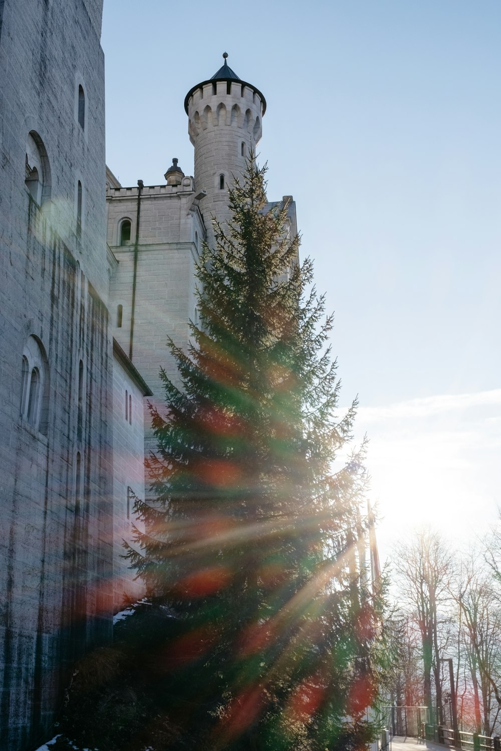 a very tall tree in front of a tall building