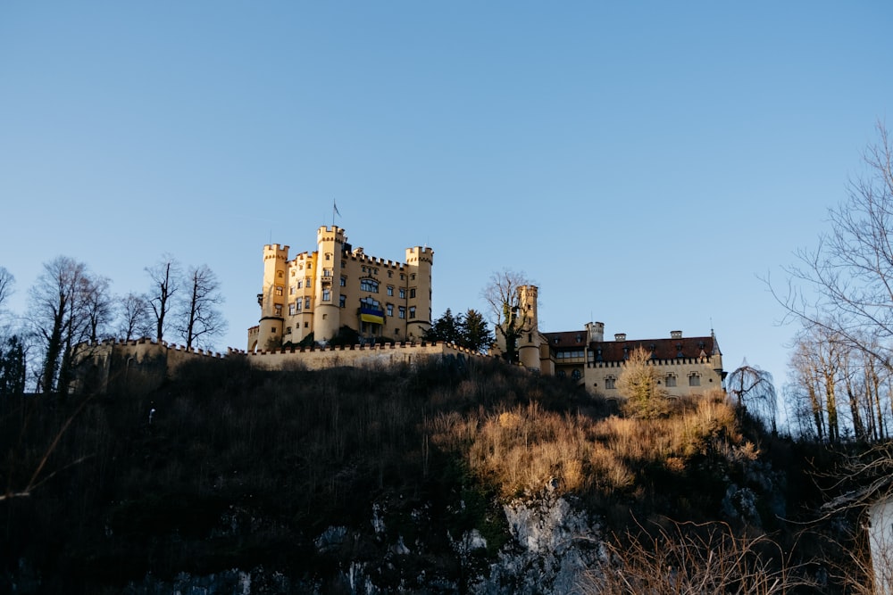 a castle sitting on top of a hill next to a forest