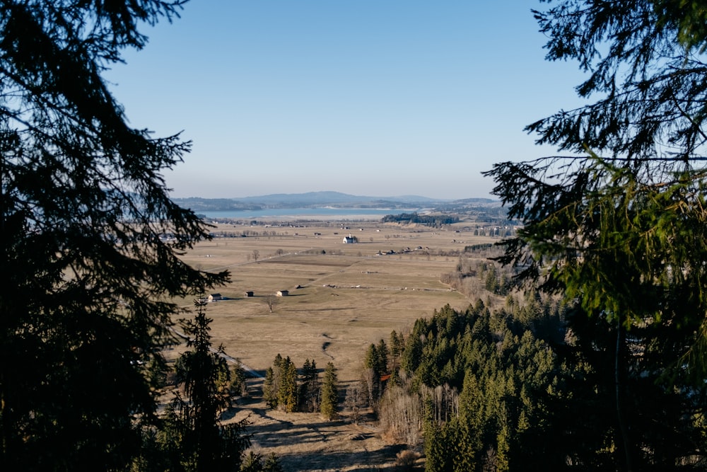 a view of a field with trees and a body of water in the distance