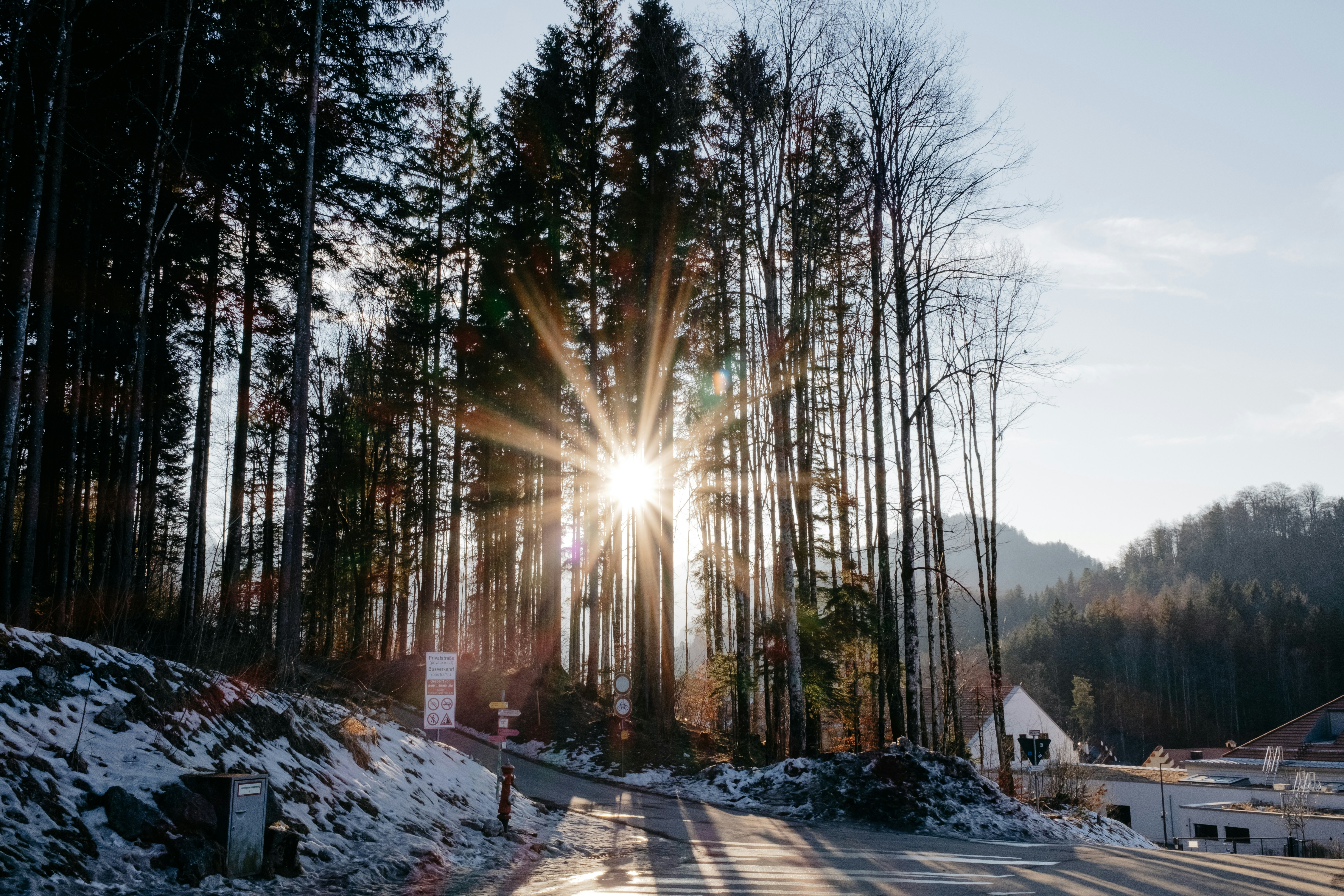 the sun is shining through the trees in the snow