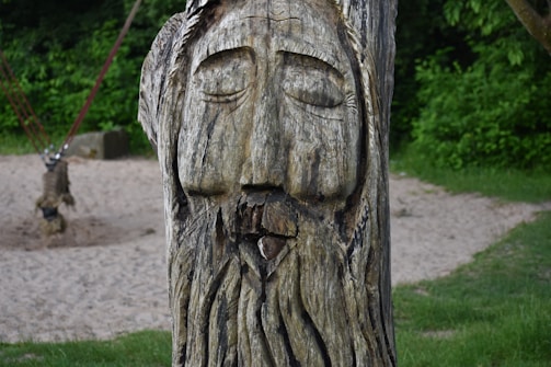 A wooden sculpture depicting a face with closed eyes carved into a tree trunk is surrounded by greenery and sand. The carving shows intricate details, emphasizing the texture and natural patterns of the wood. In the background, there are elements of a playground, such as ropes and a sandy area, suggesting an outdoor park setting.