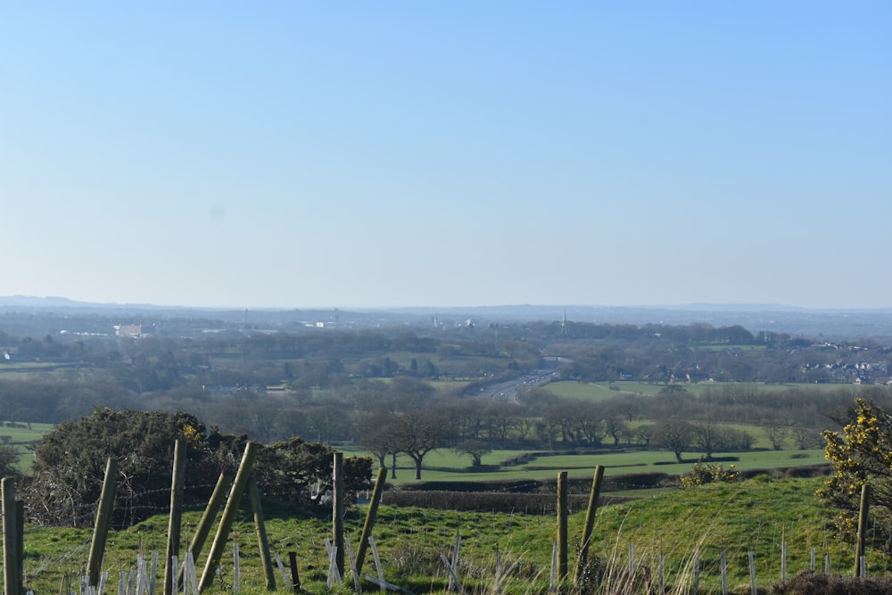 a grassy field with a fence and trees in the distance