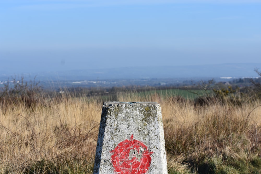 a stone marker in a grassy field with a view of a city in the distance