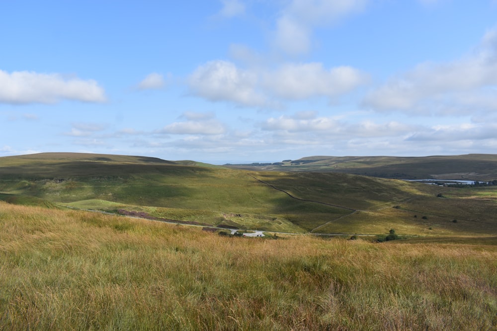 a grassy field with hills in the background