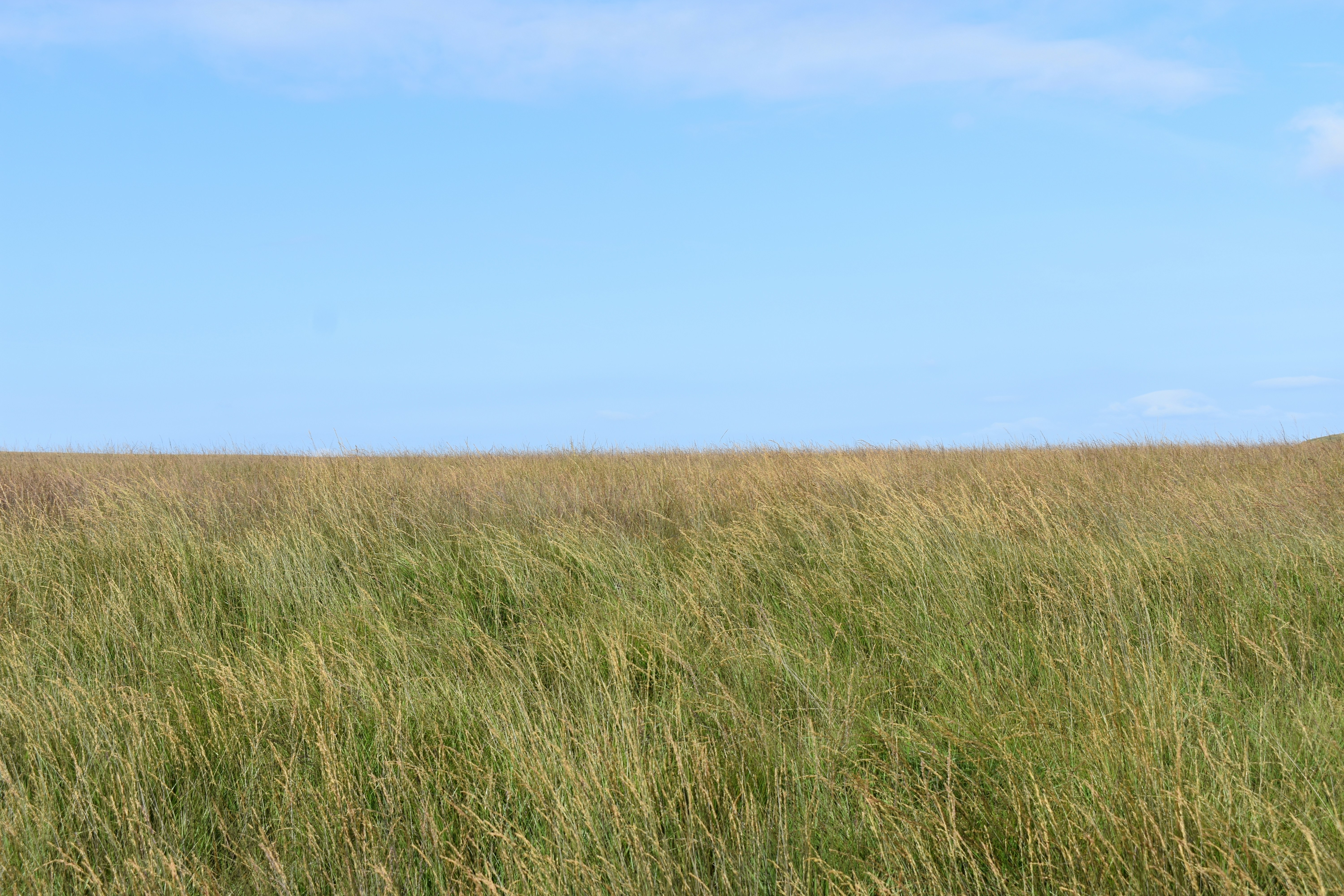 Photo by andrew_hall