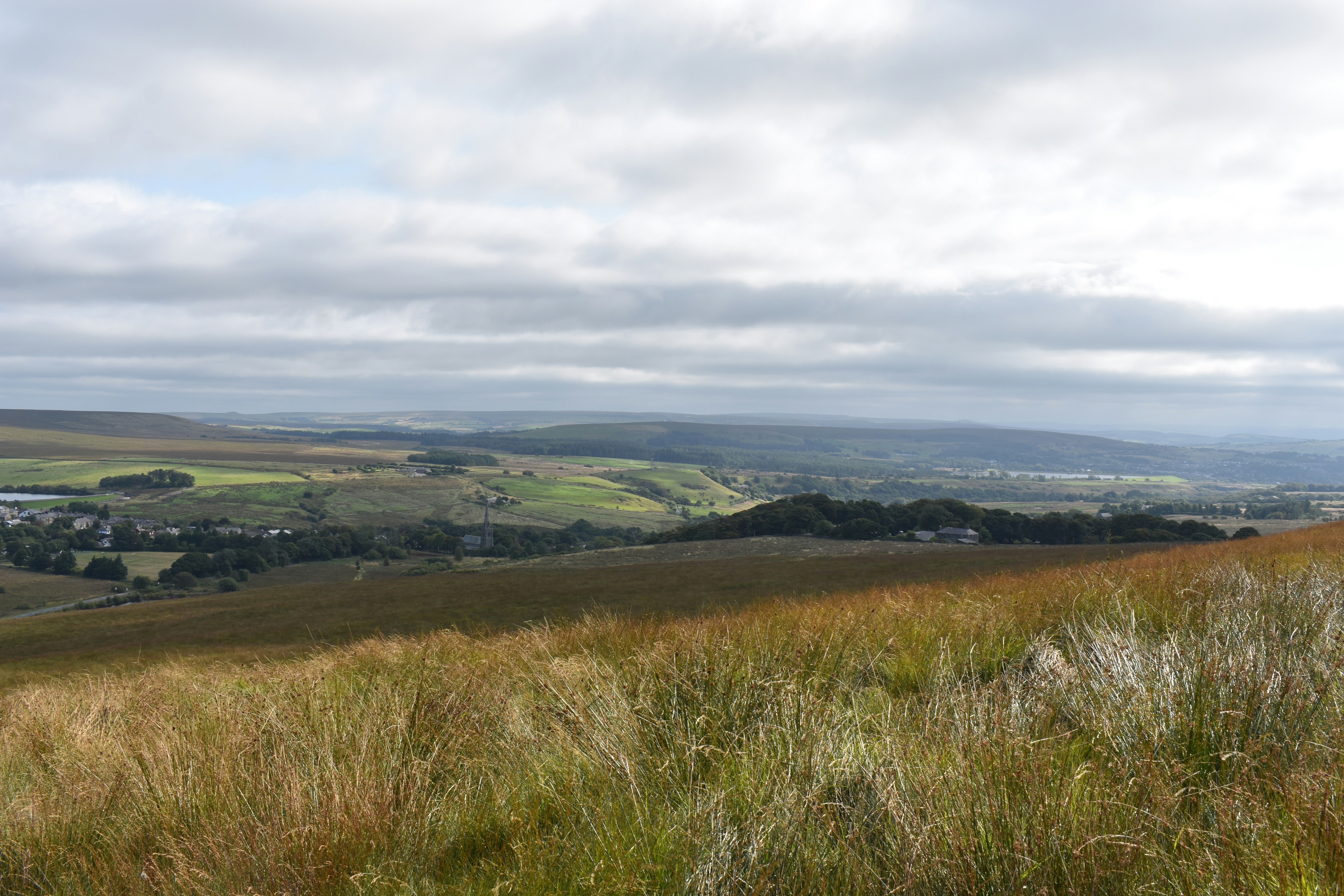 Photo by andrew_hall