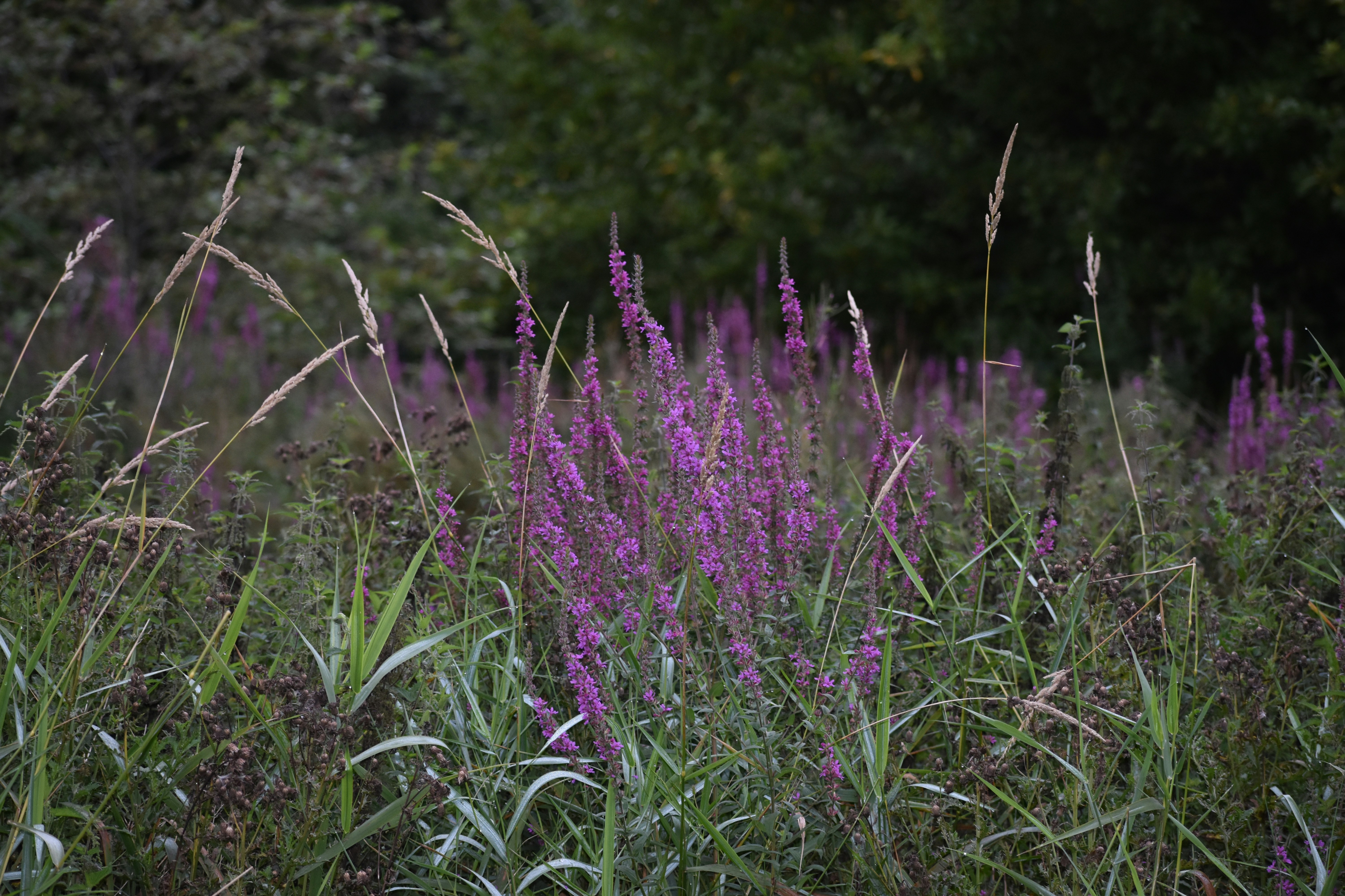 Photo by andrew_hall