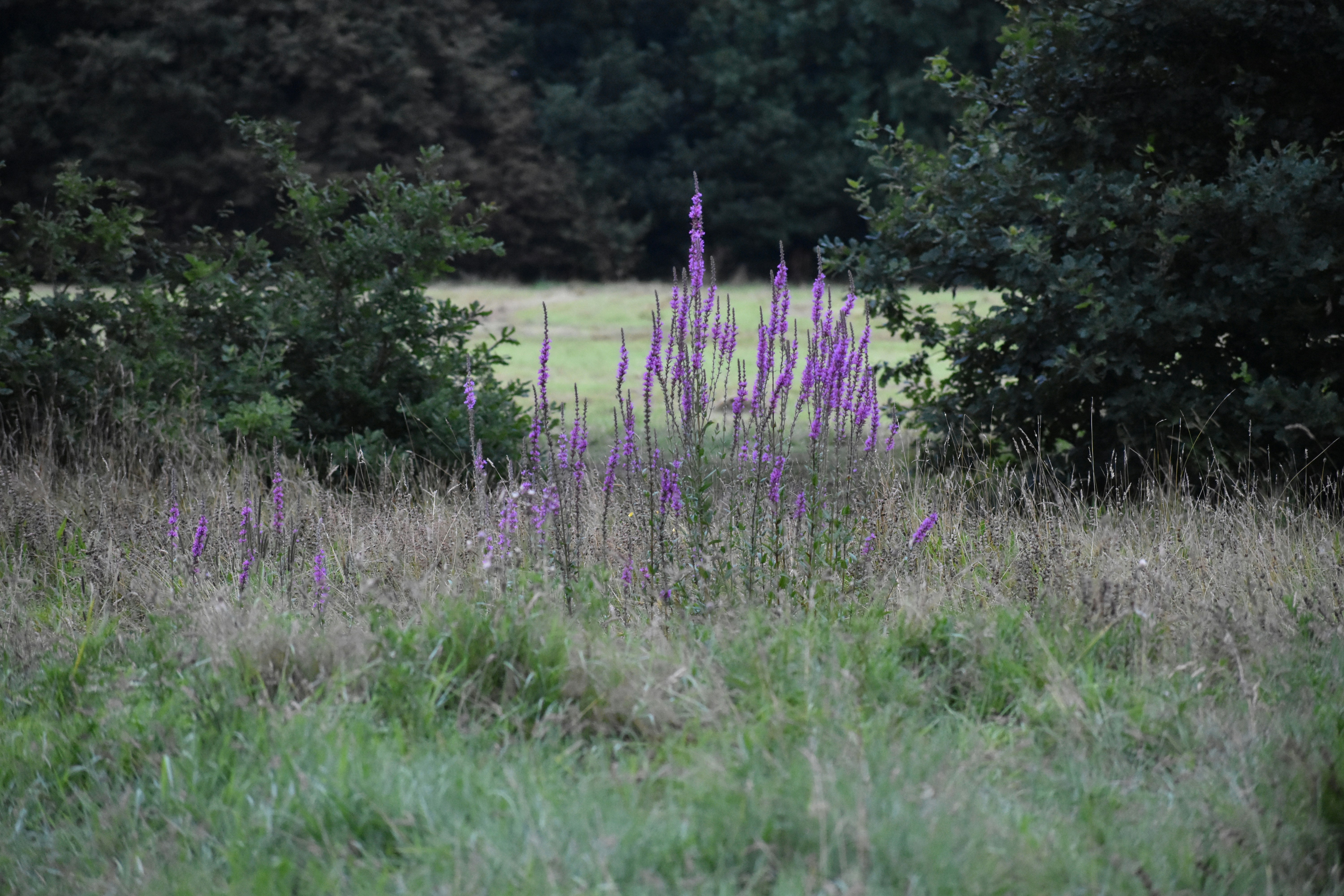 Photo by andrew_hall