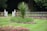 A well-maintained garden with a central circular plant surrounded by neatly trimmed grass. The garden features neatly arranged flower beds with colorful flowers. In the background, a white decorative fence and a stone balustrade add structure to the landscape. Dense trees surround the garden area, providing a lush, green backdrop.