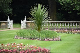 A well-maintained garden with a central circular plant surrounded by neatly trimmed grass. The garden features neatly arranged flower beds with colorful flowers. In the background, a white decorative fence and a stone balustrade add structure to the landscape. Dense trees surround the garden area, providing a lush, green backdrop.