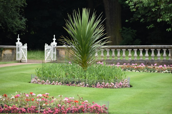 A well-maintained garden with a central circular plant surrounded by neatly trimmed grass. The garden features neatly arranged flower beds with colorful flowers. In the background, a white decorative fence and a stone balustrade add structure to the landscape. Dense trees surround the garden area, providing a lush, green backdrop.