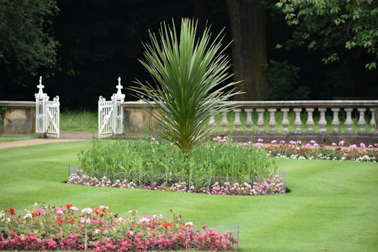A well-maintained garden with a central circular plant surrounded by neatly trimmed grass. The garden features neatly arranged flower beds with colorful flowers. In the background, a white decorative fence and a stone balustrade add structure to the landscape. Dense trees surround the garden area, providing a lush, green backdrop.