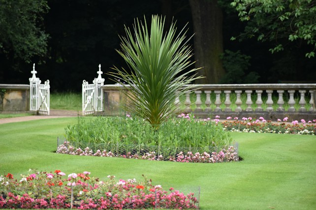 A well-maintained garden with a central circular plant surrounded by neatly trimmed grass. The garden features neatly arranged flower beds with colorful flowers. In the background, a white decorative fence and a stone balustrade add structure to the landscape. Dense trees surround the garden area, providing a lush, green backdrop.